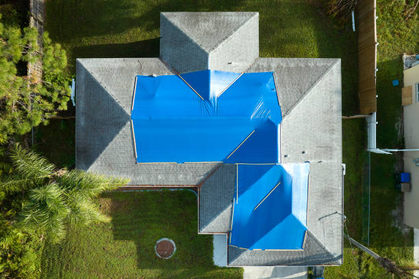 Best Roof Maintenance and Cleaning  in Hamtramck, MI