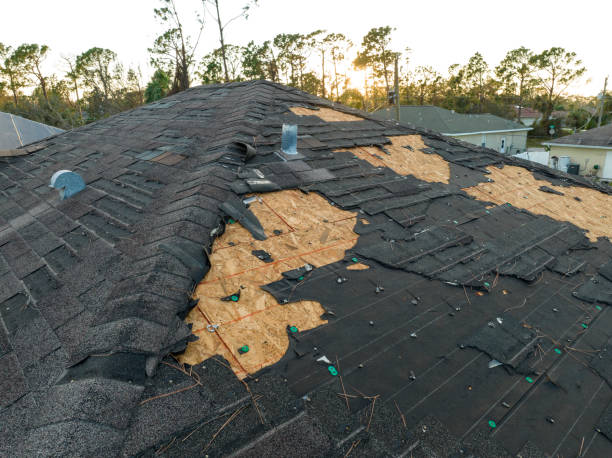 Best 4 Ply Roofing  in Hamtramck, MI