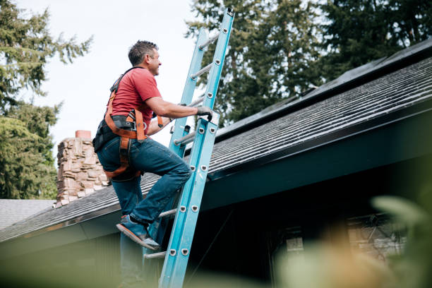 Best Gutter Replacement  in Hamtramck, MI